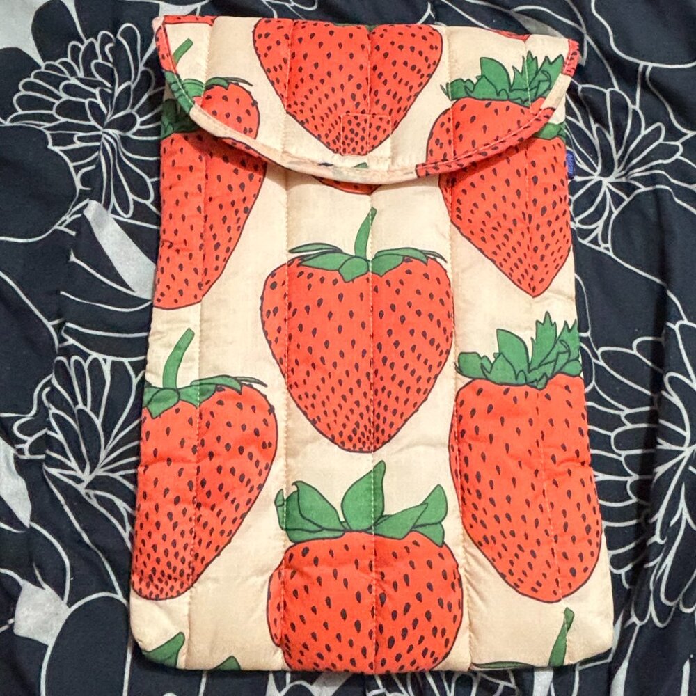 Baggu 16" laptop case, excellent used condition